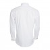 MEN'S SHIRT PLAIN 100% C