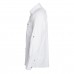 MEN'S SHIRT PLAIN 100% C